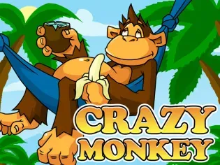 Crazy Monkey game icon
